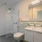 Luxury * 科尔丘拉