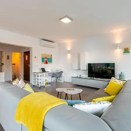 Luxury Apartment