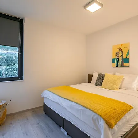 Luxury Apartment